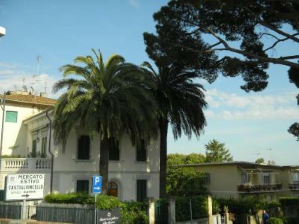Ghianda Marina Vista Mare Stupenda E 100 Mt Dalla Spiaggia, Accanto Pineta Villa Castiglioncello Eksteriør bilde
