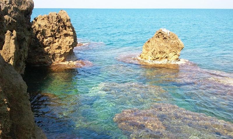 Ghianda Marina Vista Mare Stupenda E 100 Mt Dalla Spiaggia, Accanto Pineta Villa Castiglioncello Eksteriør bilde